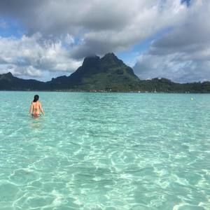 Meet your Posher, Barbara